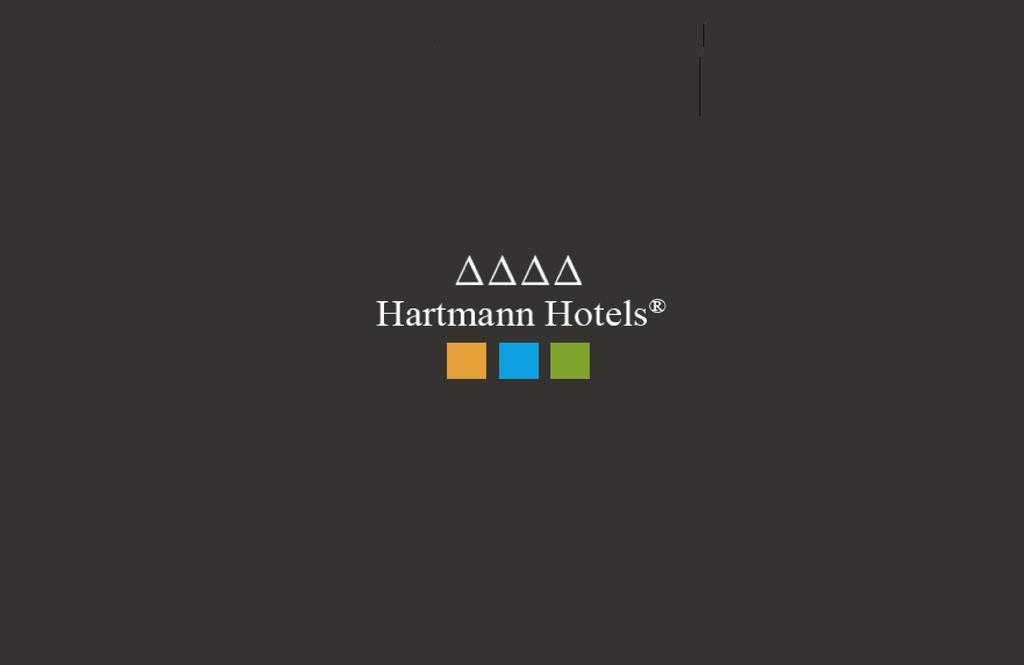 Chalet Hotel Hartmann - Adults Only Ортизеи Экстерьер фото